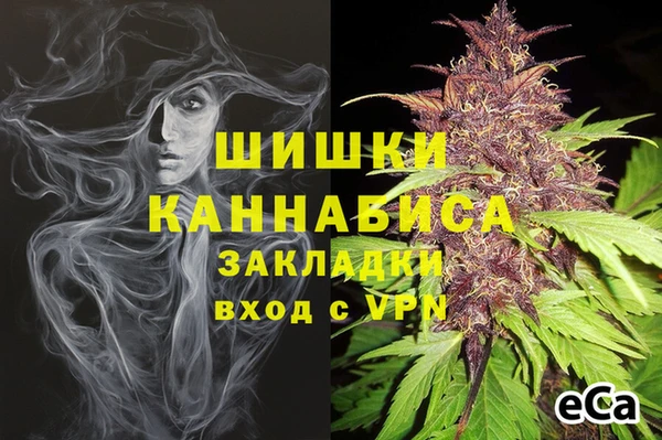 2c-b Осташков