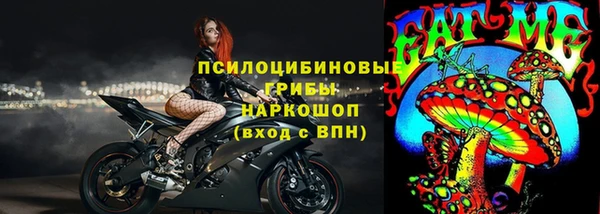 герыч Пересвет